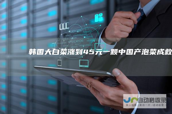 韩国大白菜涨到45元一颗中国产泡菜成救兵