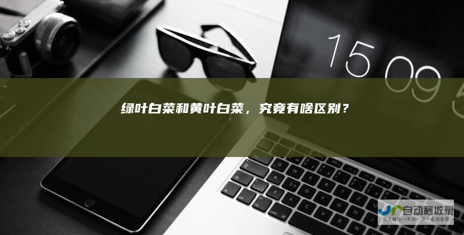 绿叶白菜和黄叶白菜，究竟有啥区别？