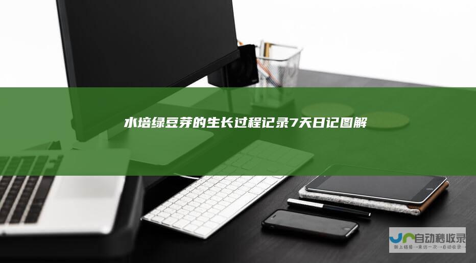 水培绿豆芽的生长过程记录7天日记图解