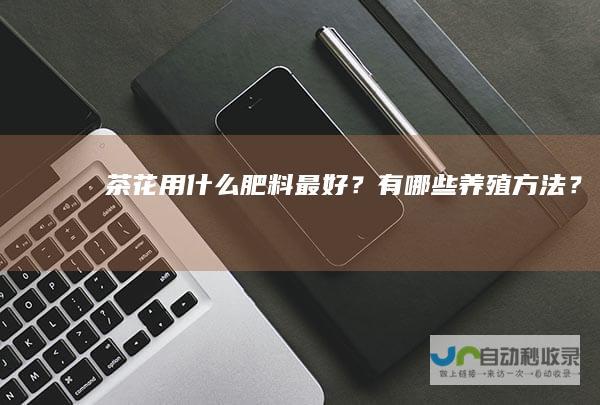 茶花用什么肥料最好？有哪些养殖方法？