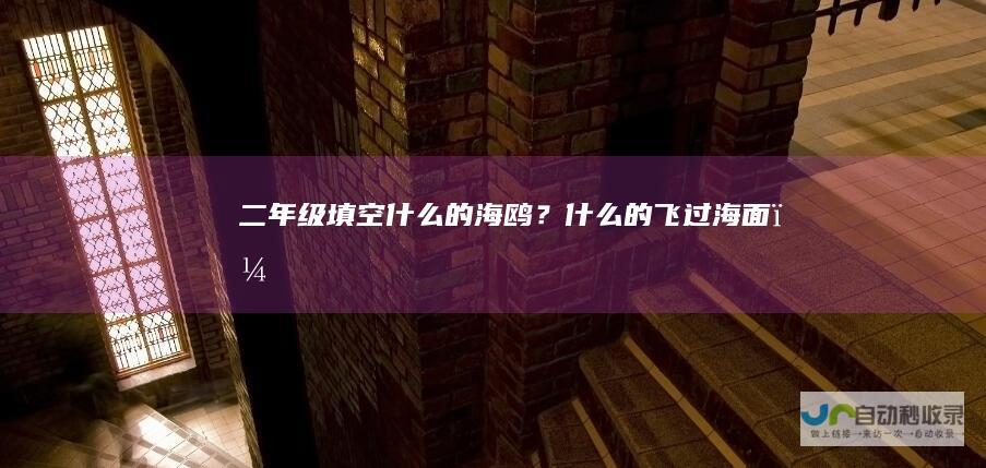 二年级填空什么的海鸥？什么的飞过海面？