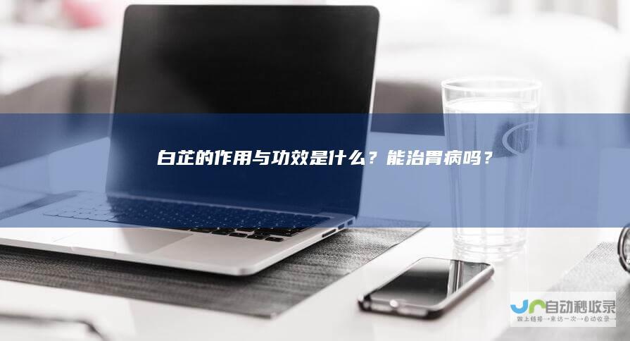 白芷的作用与功效是什么？能治胃病吗？