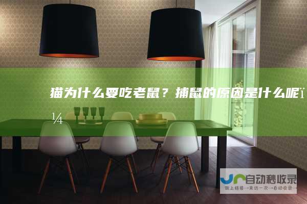 猫为什么要吃老鼠？捕鼠的原因是什么呢？