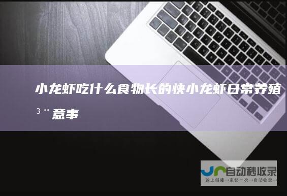 小龙虾吃什么食物长的快小龙虾日常养殖注意事