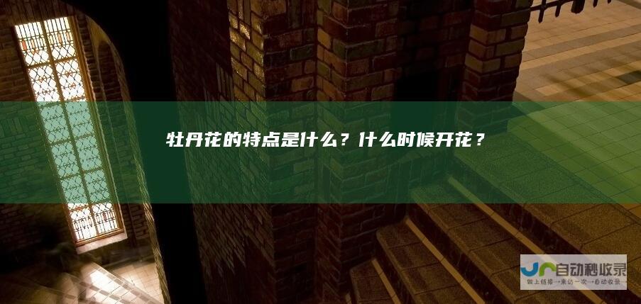 牡丹花的特点是什么？什么时候开花？
