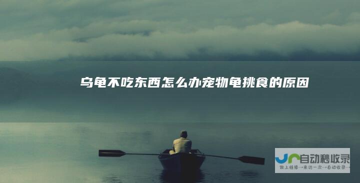 乌龟不吃东西怎么办宠物龟挑食的原因