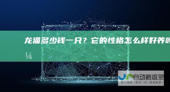 龙猫多少钱一只？它的性格怎么样好养吗？