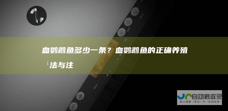 血鹦鹉鱼多少一条？血鹦鹉鱼的正确养殖方法与注
