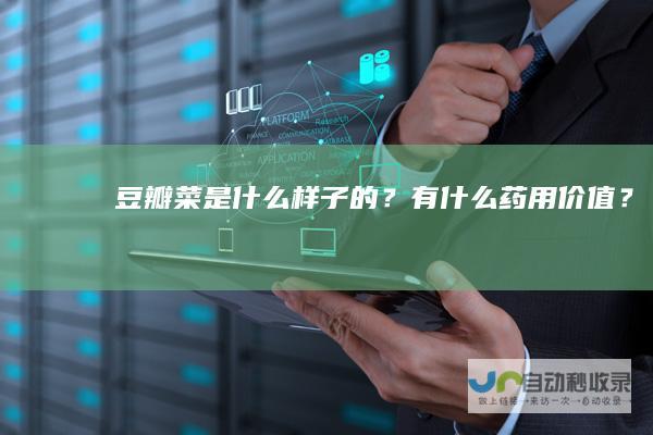 豆瓣菜是什么样子的？有什么药用价值？