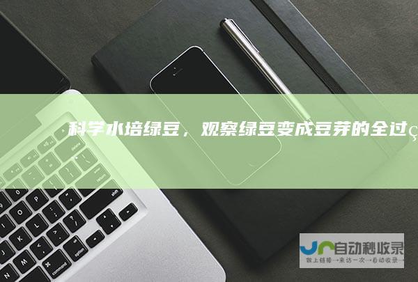 科学水培绿豆，观察绿豆变成豆芽的全过程