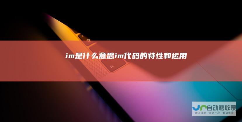 im是什么意思im代码的特性和运用