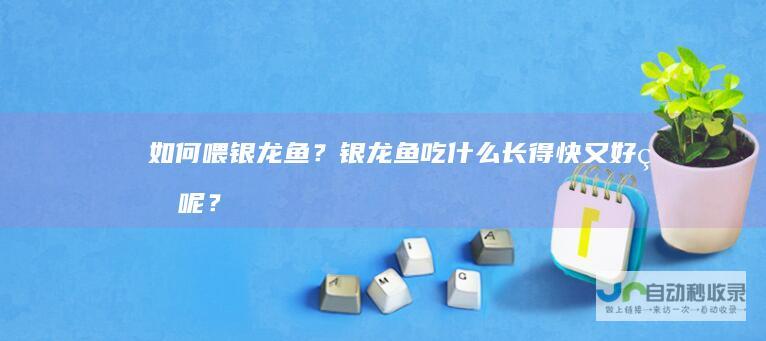 如何喂银龙鱼？银龙鱼吃什么长得快又好看呢？