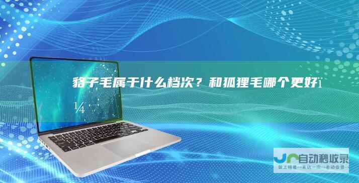 貉子毛属于什么档次？和狐狸毛哪个更好？