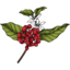 水之花咖啡
