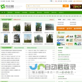 秀花网-绿化苗木花卉推广B2B网站