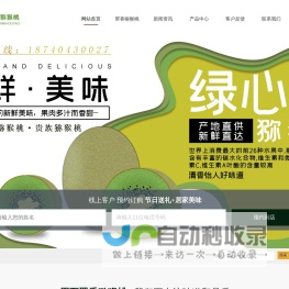 周至翠香猕猴桃陕西徐香猕猴桃_中国猕猴桃之乡-【宏周果业】