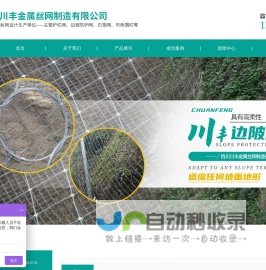 四川成都主动防护网,被动防护网,围栏网,护栏网厂家【川丰金属丝网】 四川川丰金属丝网制造有限公司