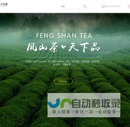 安溪铁观音集团