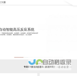 高温高压反应釜-实验室反应釜-小型微型反应釜,实验室反应装置,定制反应装置-上海莱北科学仪器有限公司