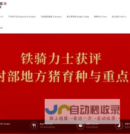 铁骑力士