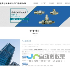 过程接头-柱状截止阀-隔绝阀-压力表接头- - 扬中市高新仪表管件阀门有限公司