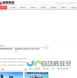 海雅集团