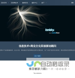 Lanisky官网 - 信息技术×商业文化双核驱动顾问