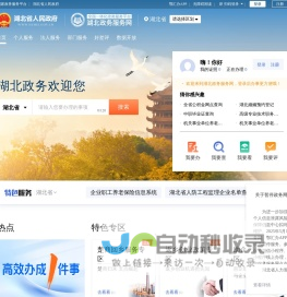 湖北政务服务网