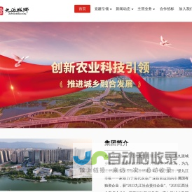 九江市九派城乡发展集团有限公司