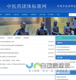 中医药团体标准网
