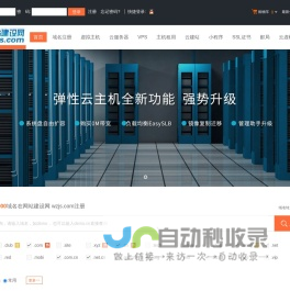 网站建设网 wzjs.com-专业虚拟主机域名注册服务商!稳定、安全、高速的虚拟主机！域名注册虚拟主机租用