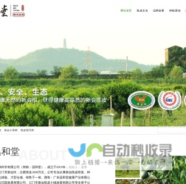 新会陈皮|新会柑普茶|广东温和堂健康科学有限公司