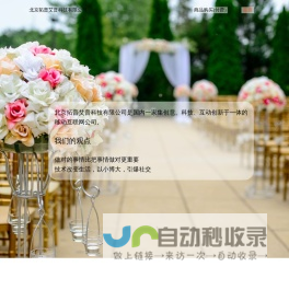 北京拓普艾普科技有限公司