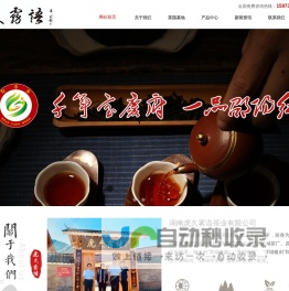 湖南虎久雾语茶业有限公司【官网】邵阳红|红茶|绿茶|白茶