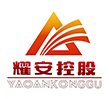 安徽耀安控股集团有限公司