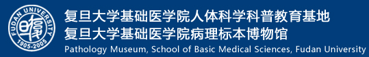 病理标本博物馆网站-复旦大学基础医学院_病理标本博物馆-复旦大学基础医学院