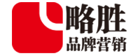略胜营销|企业业绩利润持续增长专家