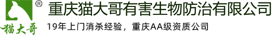 重庆除四害_物表空间消毒|杀虫|灭鼠|灭白蚁|灭苍蝇|灭蟑螂-重庆猫大哥专业杀虫公司