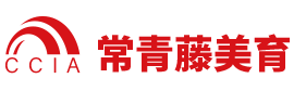 青少年 艺术人才 综合素质测评