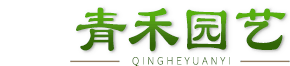 常州绿植租赁_常州花木租赁_常州绿化养护-常州青禾园艺绿有限公司