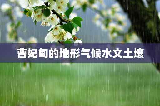 天气预报