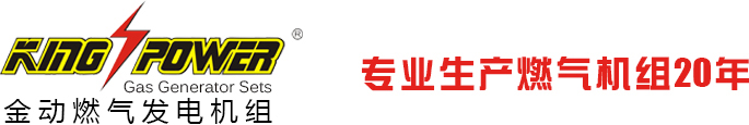 天燃气发电机组,沼气发电机组,煤层气发电机组,页岩气发电机组,供应生物质气发电机,瓦斯气发电机组生产商,页岩气发电机厂家,进口沼气发电机,沼气发电机价格,污水处理沼气发电机,养殖场沼气发电机,广东天燃气发电机,山东天燃气发电机组 - 深圳市金动科力实业有限公司