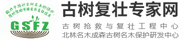 古树名木 复壮专家网 中国古树名木抢救 古树名木复壮 古树名木保护 古树名木树龄鉴定 古树名木无损检测 古树养护服务咨询 古树保护工程设计 古树工程量清单编制 古树技术文件编制 古树养护配套产品 古树名木施工服务 古树名木数字信息化 古树公园建设  古树专家