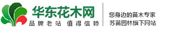 华东花木网_园林绿化苗木网_花木大世界