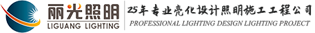 河南省丽光照明工程有限公司