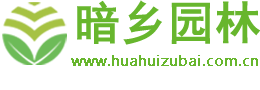 绿植租赁,花卉租摆,植物租赁,办公室花木租摆,租花,花卉批发销售,除甲醛-暗乡花卉