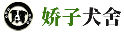 成都娇子犬舍-四川边牧犬舍