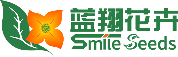 酒泉市蓝翔园艺种苗有限责任公司_花卉种子
