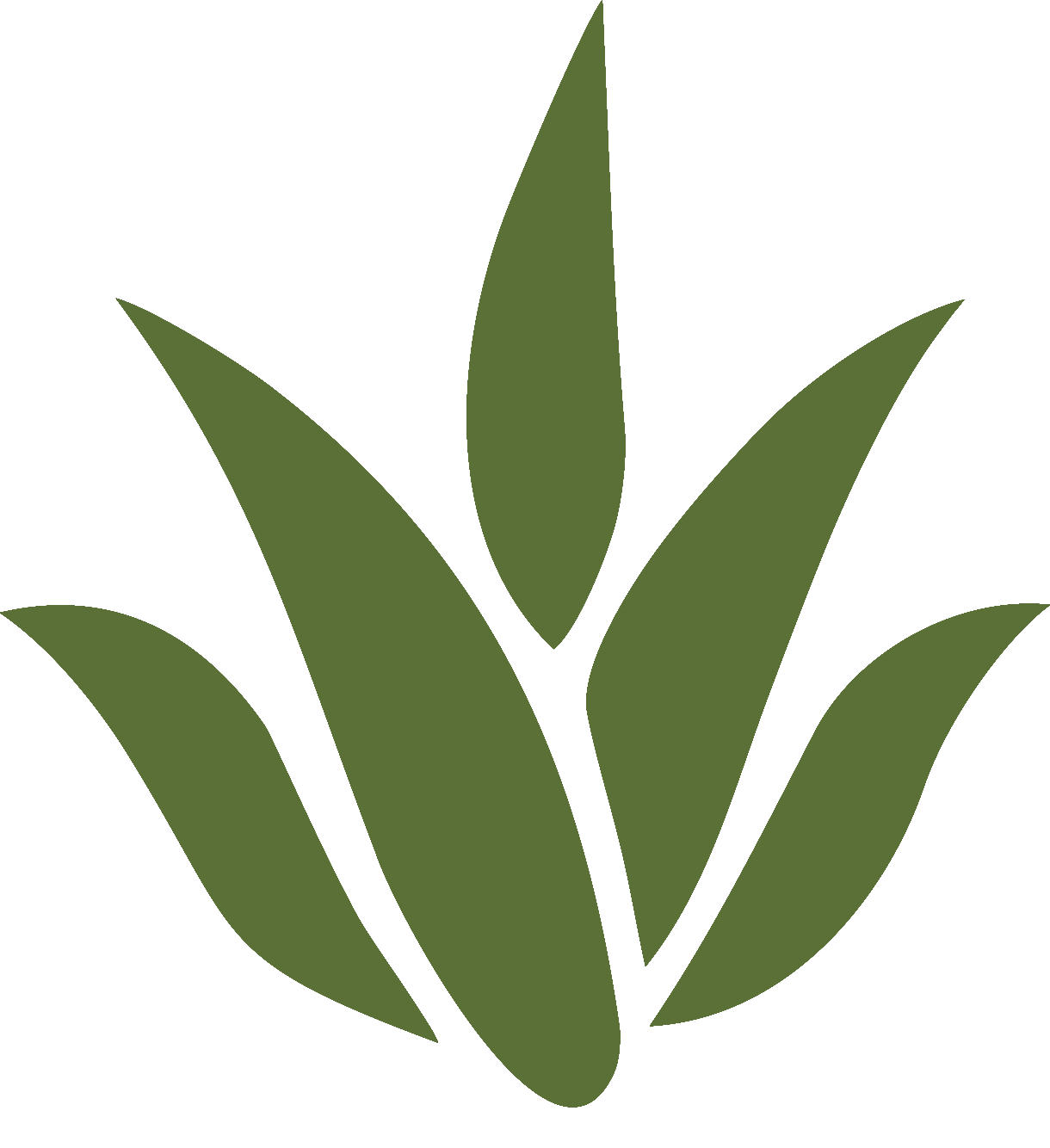 芦荟家园官网