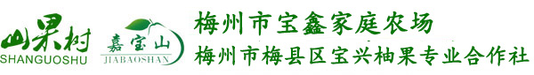 梅州市宝兴柚果专业合作社，梅州市富硒有机金柚，梅州有机红肉柚批发，梅州有机三红柚批发，梅州沙田柚批发